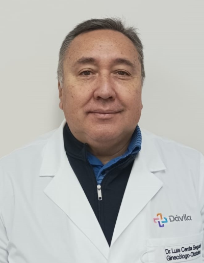 Cerda Seguel Luis